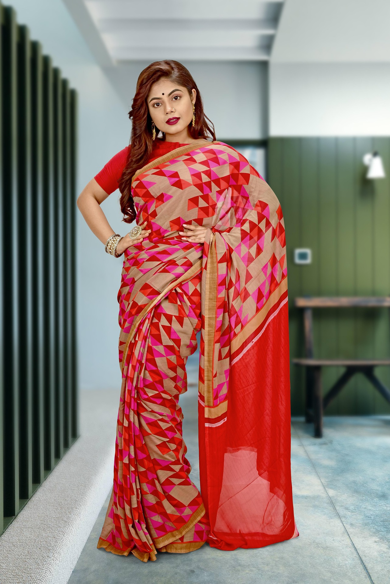 pawananipix-indian-saree-5829249_1920